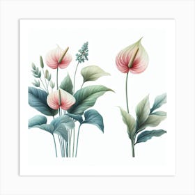 Anthurium Art Print