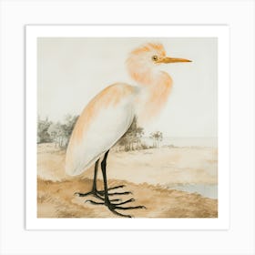 Egret 1 Art Print