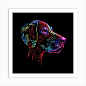 Rainbow Dog 7 Póster