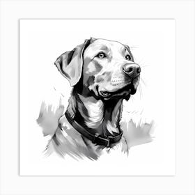 Black and White Labrador drawing 1 Art Print