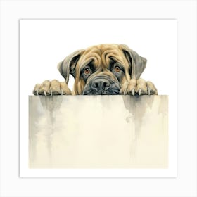 Mastiff Dog Art Print