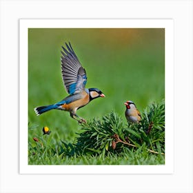 Two Birds In Flight 2 Art Print