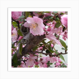 Blossoming Cherry Tree Art Print