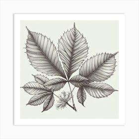 Line Art chestnut leaves 1 Art Print