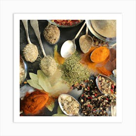 Spices And Herbs Art Print