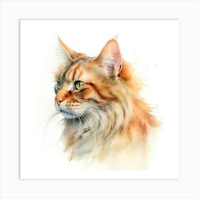 Selkirk Cat Portrait 2 Art Print