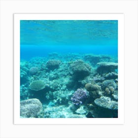 Great Barrier reef 9 Art Print