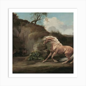 Horse Galloping 4 Art Print