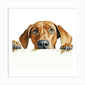 Rhodesian Ridgeback 1 Art Print