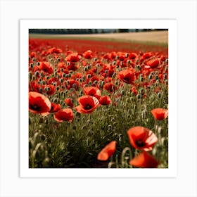 Poppy Field 1 Art Print