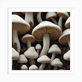 White Mushrooms 1 Art Print