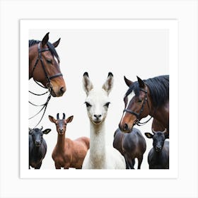 Llamas And Horses 1 Art Print