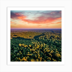Aerial View Of The Amazon Rainforest At Sunset Art Print