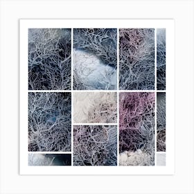 Winter Tree Branches Art Print