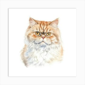 American Shorthair Persian Cat Portrait 2 Art Print