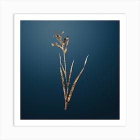 Gold Botanical Gladiolus Cunonius on Dusk Blue n.2201 Art Print