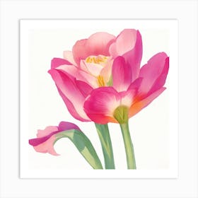 Tulip Rose Painted In Watercolor 1 1 Art Print