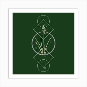 Vintage Hyacinthus Viridis Botanical with Geometric Line Motif and Dot Pattern n.0118 Art Print