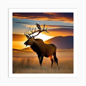 Elk At Sunset Art Print