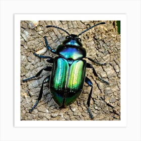 Beetle 15 Art Print