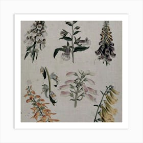 Foxgloves Art Print