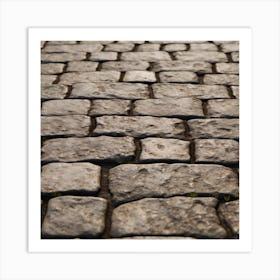 Cobblestone Road 11 Art Print