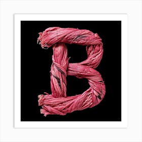 Letter B 13 Art Print