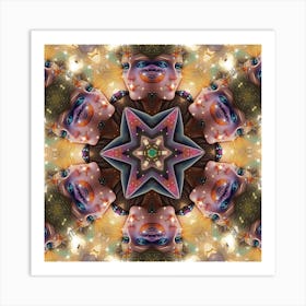 Psychedelic Mandala 13 Art Print