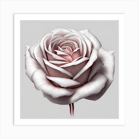 White Rose Art Print