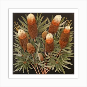 Banksia 6 Art Print