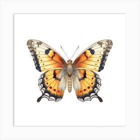 Butterfly 7 Art Print