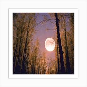 Full Moon In The Woods Art Print