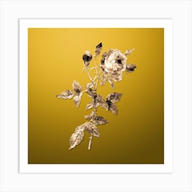 Gold Botanical Provence Rose on Mango Yellow n.4137 Art Print