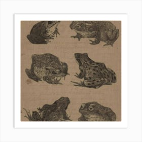 Frogs Art Print