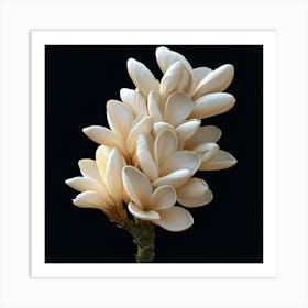 White Flower 1 Art Print