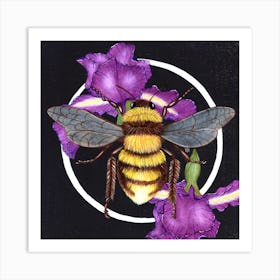 Purple Iris Bee Square Art Print