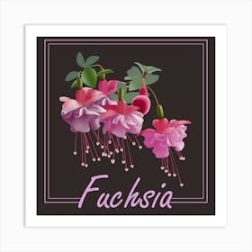 Pink Fuchsia Flowers On A Brown Background Art Print