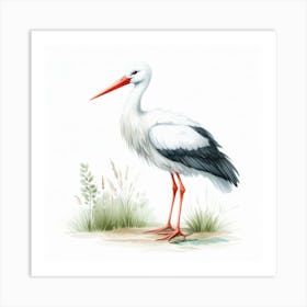 Stork 5 Art Print