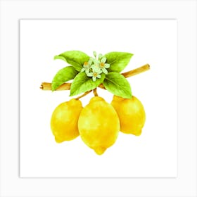 Citrus Freshness: Lemon Art Art Print