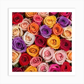 Colorful Roses 6 Art Print