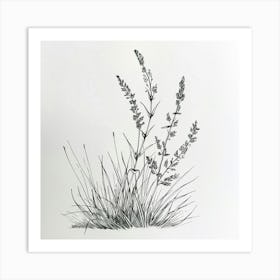 Grasses 1 Art Print