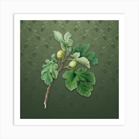 Vintage Fig Botanical on Lunar Green Pattern n.2536 Art Print