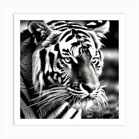 Tiger Wallpaper 4 Art Print