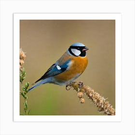 Blue Tit 65 Art Print