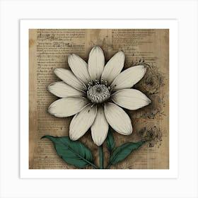 Dahlia 17 Art Print