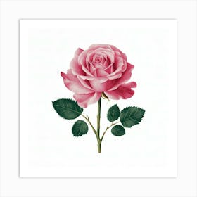 Pink Rose 7 Art Print