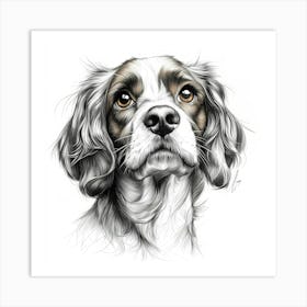 Cocker Spaniel 2 Art Print