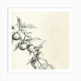 Tomato On A Branch Art Print