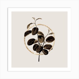 Gold Ring Alpine Buckthorn Plant Glitter Botanical Illustration n.0173 Art Print