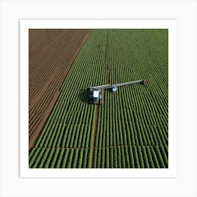 Aerial View Of A Potato Field Art Print